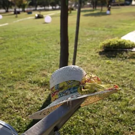 Dafne's Retreat By Kottas * Nea Plagia