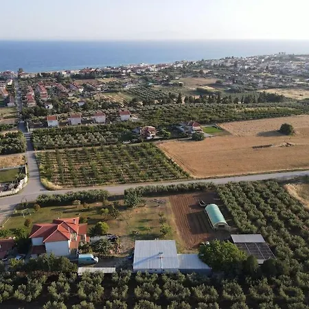 Dafne's Retreat By Kottas